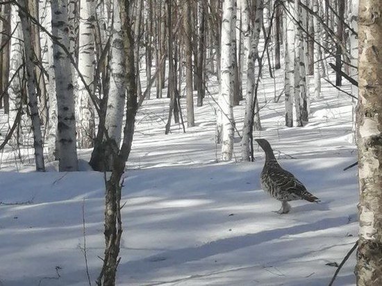     Фото: пресс-служба нацпарка Зигальга