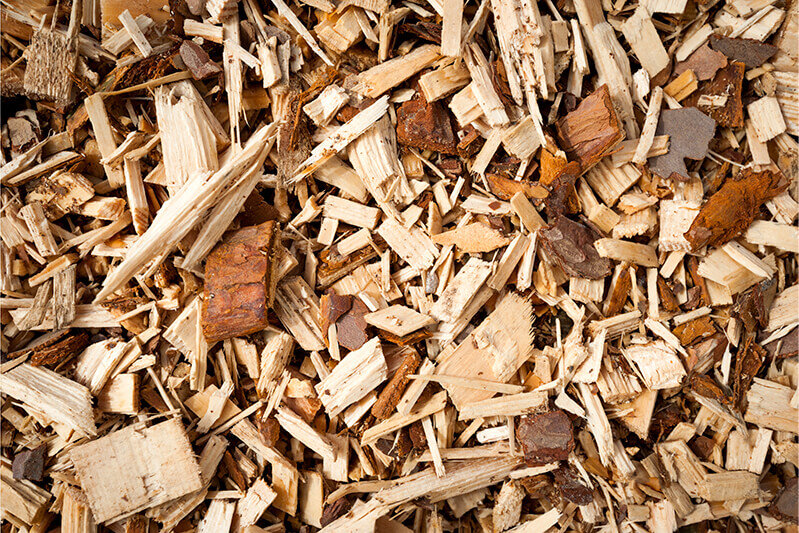    Фото: из открытых источников