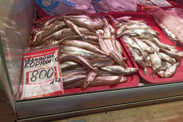 Фото: Калининград.Ru