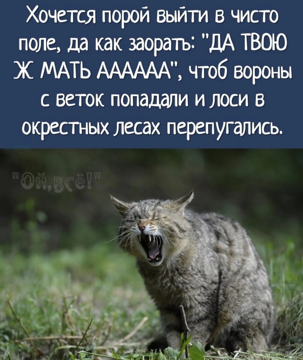 А где -то без компаса ,, блуждает,, Весна... | Лариса Васильева@,,Lissa,, ,  истории из жизни ИПэшника . | Дзен