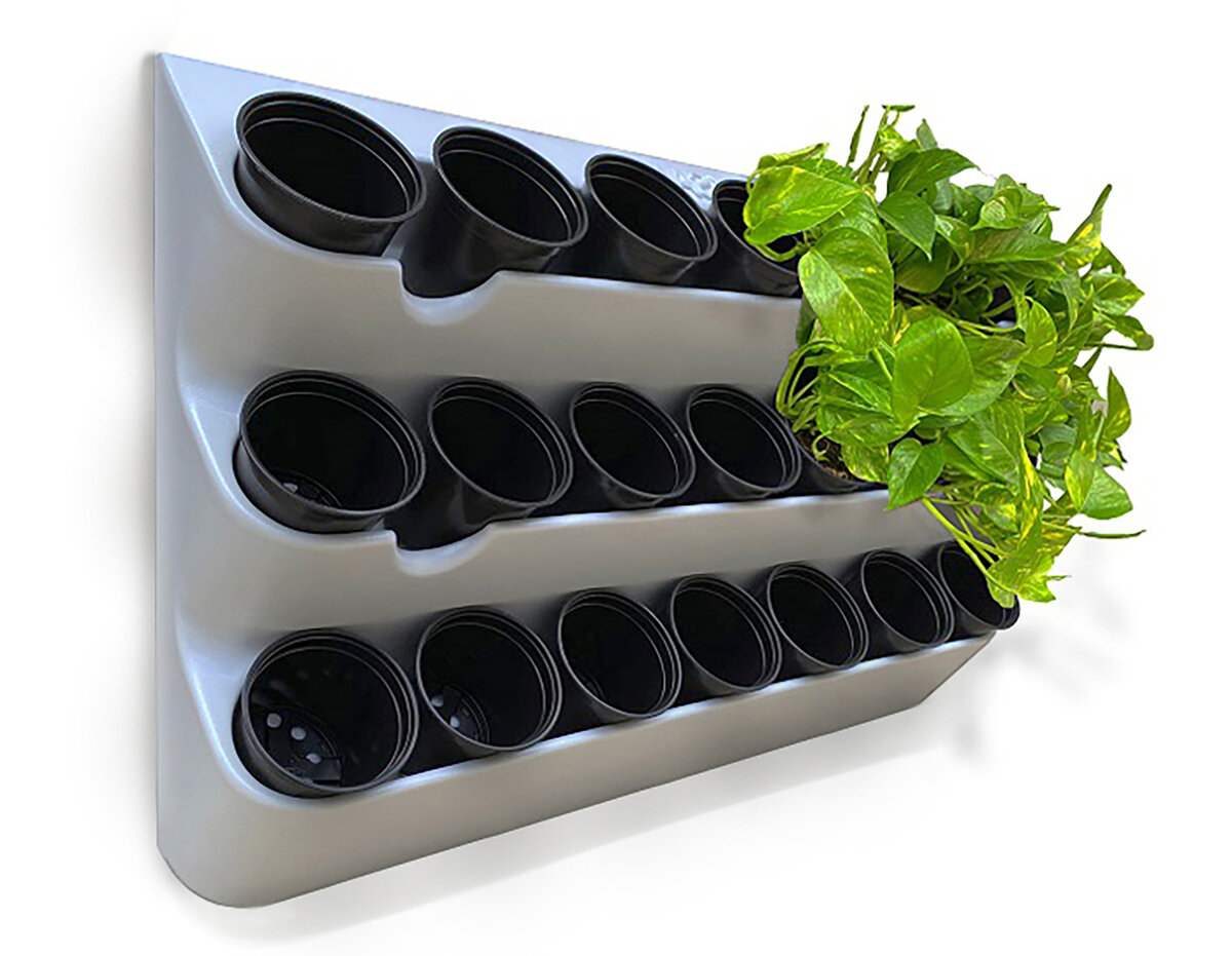 Фото взяла с сайта Озон.ру