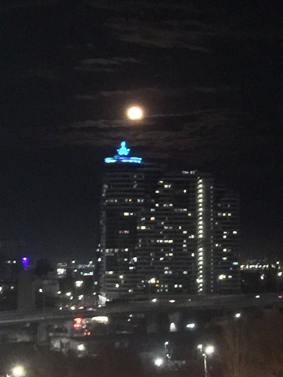 "Городские полнолуния", 2023