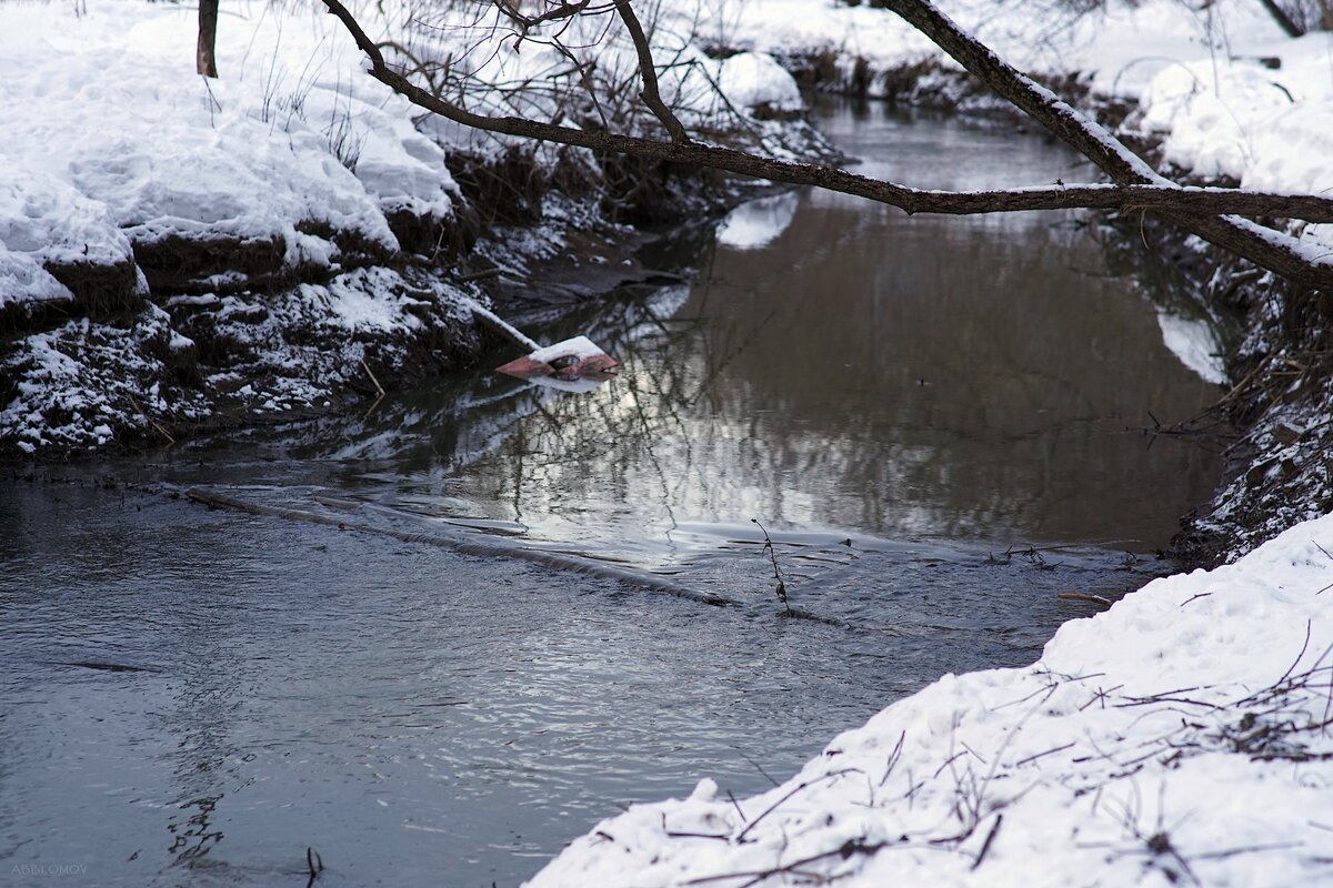 Sony Alpha A7, SAMYANG f1.4 / 85mm AS IF UMC