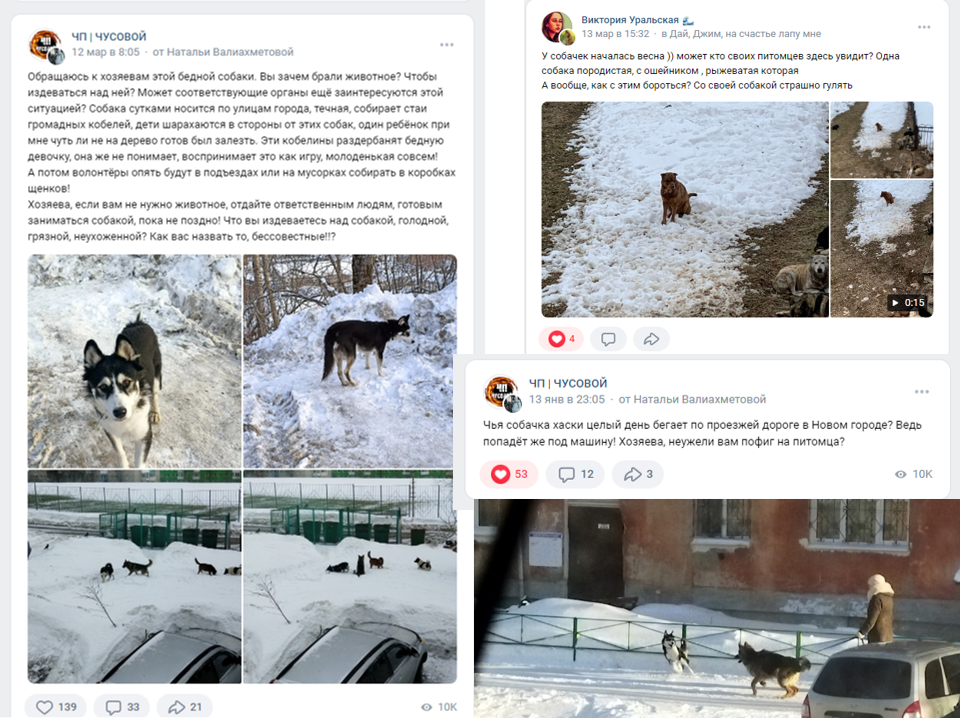 Чусовой узнал про Альфу в январе