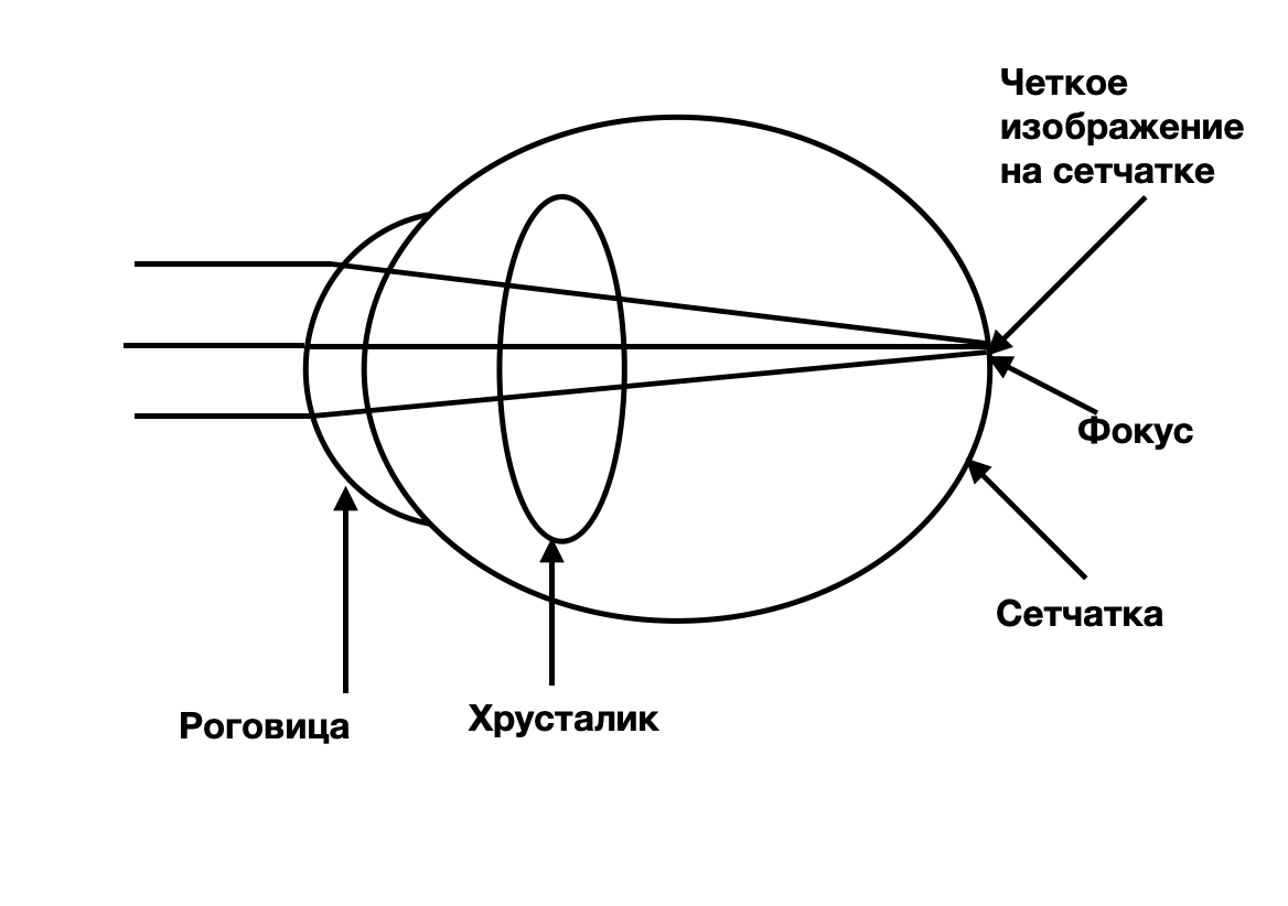 Норма