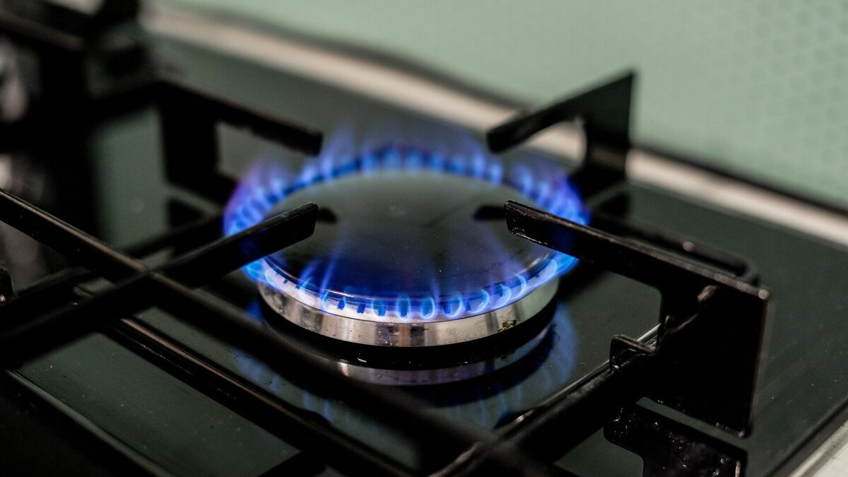     Строительство газовых сетей ведется бесплатно, за счет бюджетных средств, до границ домовладений.