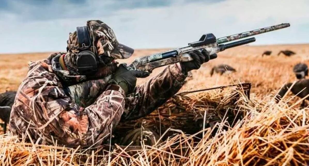 Охота с коллиматорным прицелом. Охота с коллиматорным прицелом. Коллиматор на ружье 12 калибра. Прицел аимпоинт. Коллиматор на тоз 34.