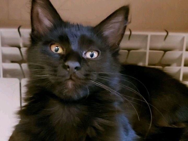 Моя маленькая подгоревшая булочка🥐