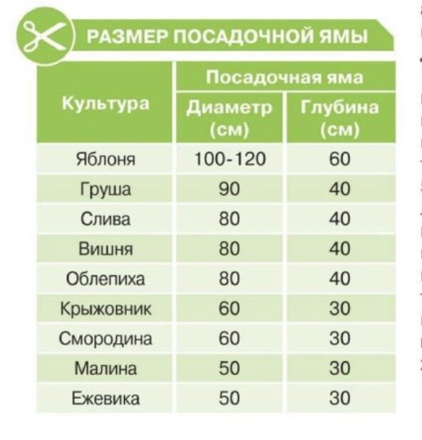 Журнал «Садовод и огородник» от 07.03.2023 г.