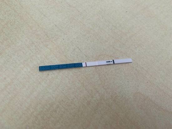     Фото: МК в туле