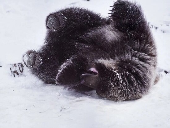     Фото: Вероники Матюшиной