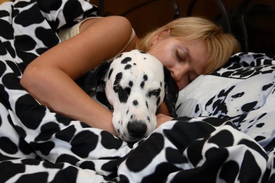     Ожидание, что сон вот-вот сбудется, может привести к излишней тревожности Руслан ВОРОНОЙ, Экспресс газета