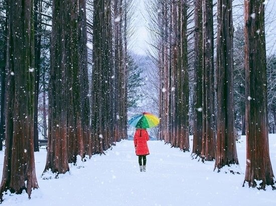     Фото: freepik.com.