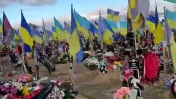    © Фото : Грамоты Ярослава / Telegram