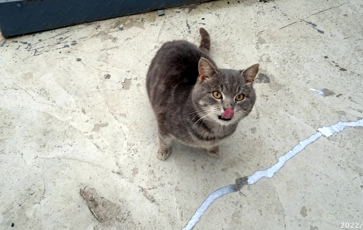 Молочные реки пролились на уличного попрошайку