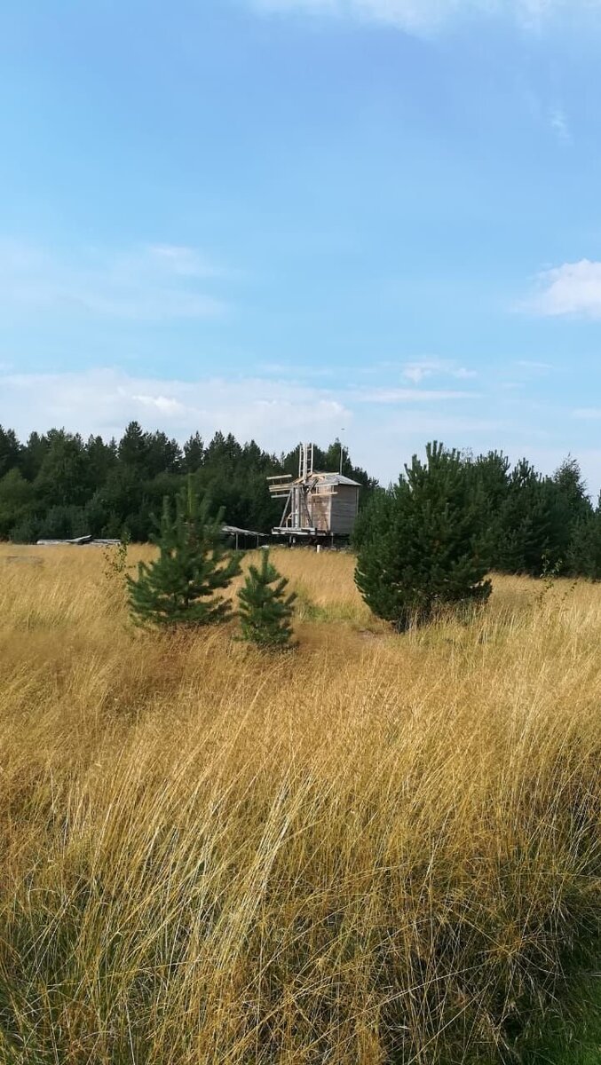 Копия Ветряной мельницы, деревни Гафостров, август 2022. Фото от подписчика группы https://vk.com/fotosense