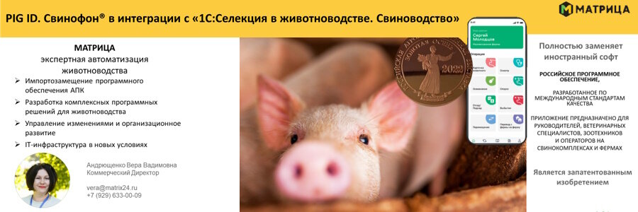 Свинофон. Тайная жизнь домашних животных счинка. Мультяшный свин. Свинья на прозрачном фоне. Мультяшные свиньи.