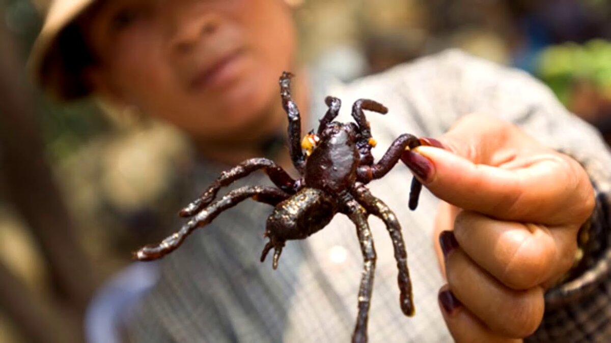 Источник www.storyblocks.com