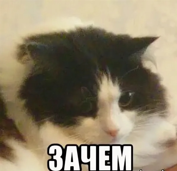 Зачем оригинал. Зачем кот. Зачем Мем. Затем кот. Мем кот зачем затем