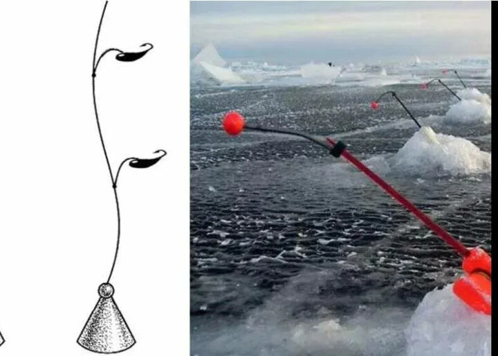 Как ловить корюшку на Финском заливе - Рыбалка в Санкт-Петербурге