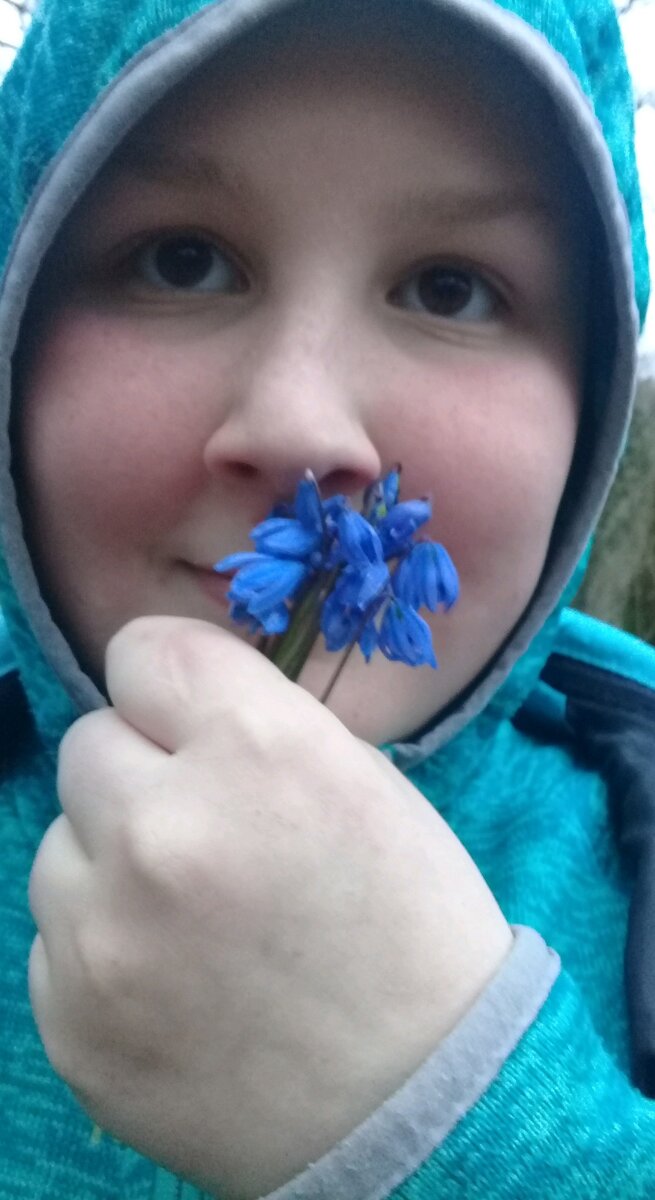 Несмотря на тот факт, что ядовитой частью пролески сибирской является исключительно луковица, растение ни в коем случае нельзя применять в пищу или в лекарственных целях. При приеме растения перорально велик риск сильнейшей интоксикации организма. Человека начинает тошнить, затем присоединяется рвота.  Из сопутствующих симптомов может возникнуть сухость во рту и отек гортани, что может привести даже к летальному исходу.Ученые утверждают, что даже 10 граммов ядовитого растения может убить животное массой тела до 20 килограмм. По этой причине растение категорически запрещено использовать в пищу, готовить на его основе лекарственные снадобья или кормить ими животных😪😔😌