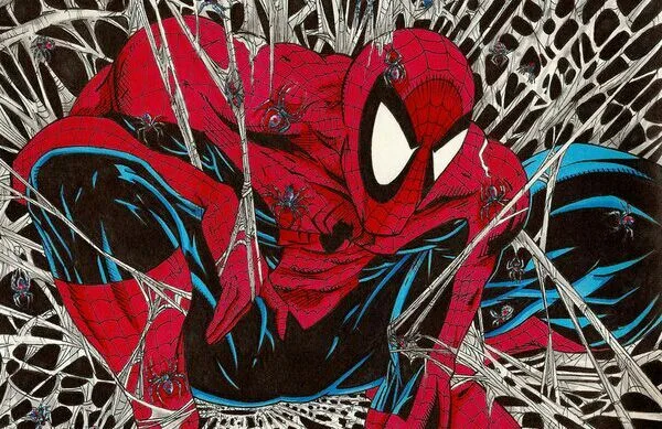 Обложка Spider-Man №1 работы художника Тодда Макфарлейна.