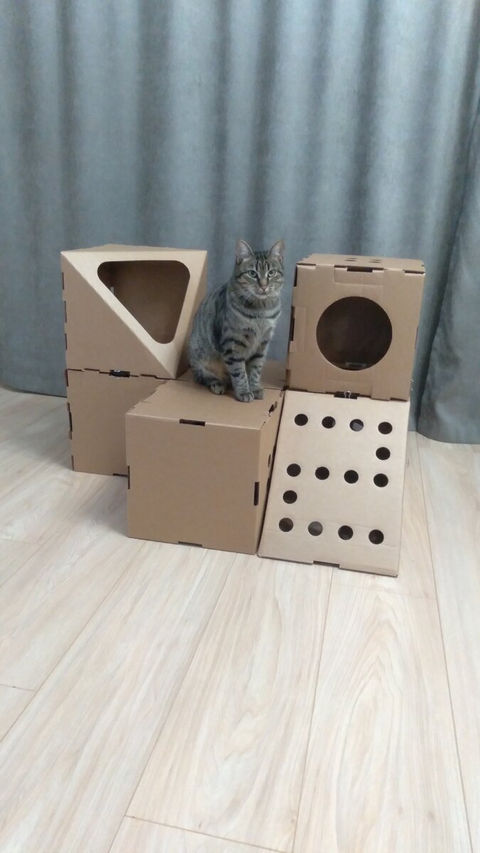 В комплекте "Кошке На Радость" шесть модулей