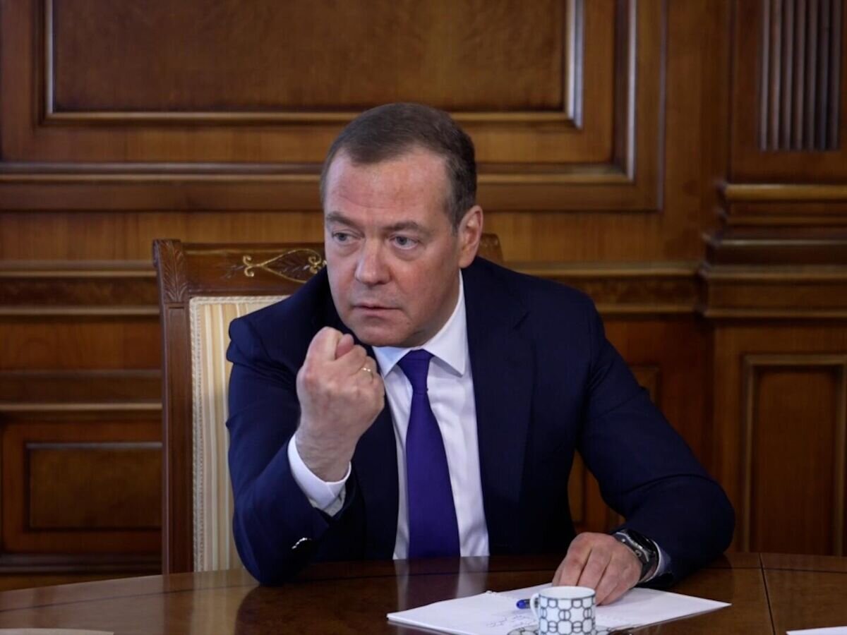    Медведев показал фигу тем, кто критикует Россию за границей и зарабатывает в ней деньги© РИА Новости