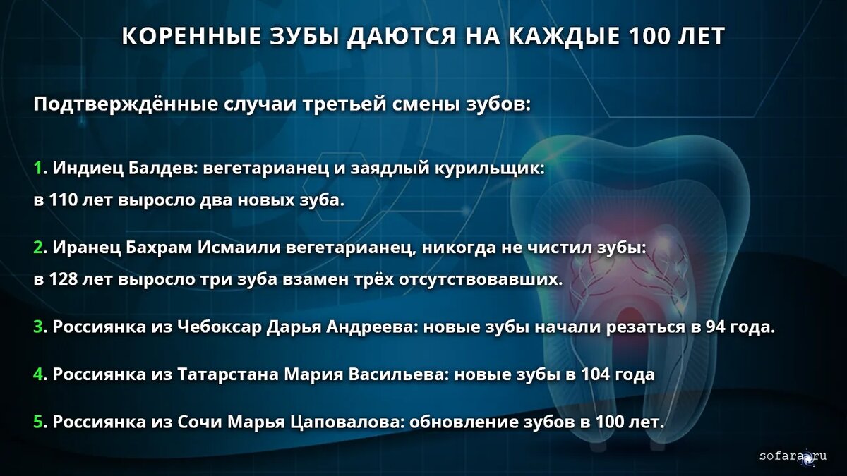 Презентация "Методы биологического омоложения" (8 класс) по биологии - скачать п