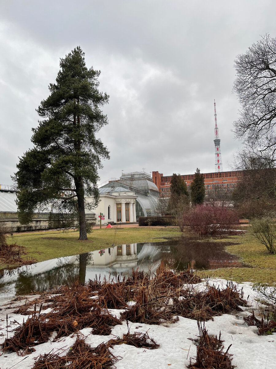 Сад просыпается