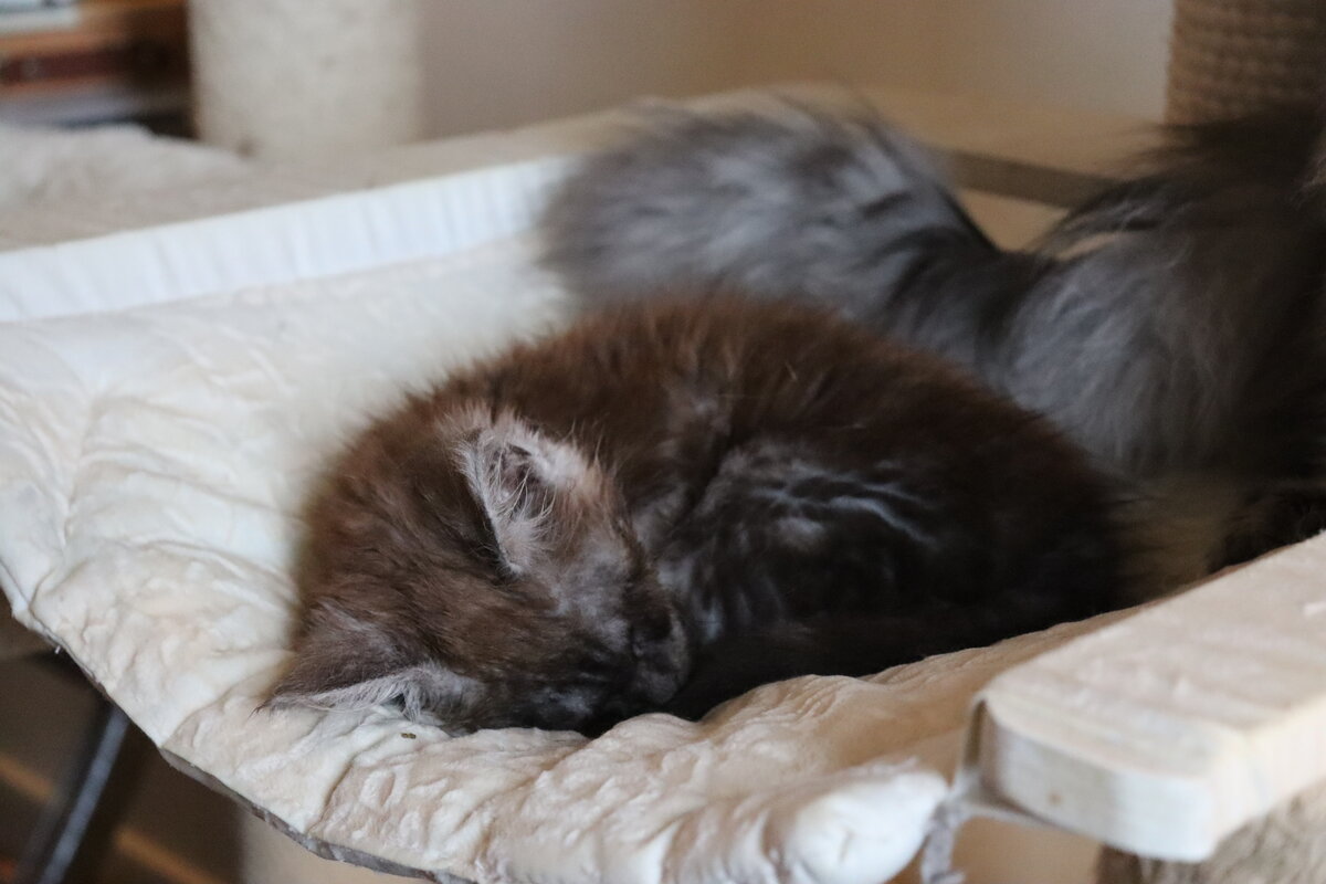 Фото из личного архива.