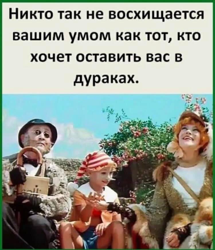 Фото из интернета.