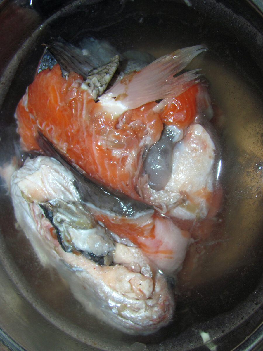 Суповой набор из морской форели: голова, плавники, хребет и шкура