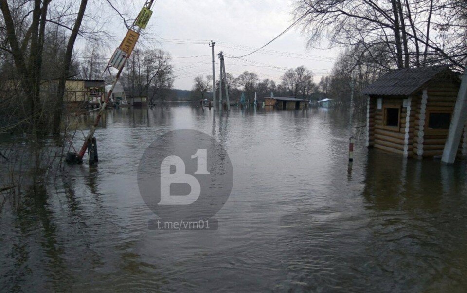     скриншот из соцсетей