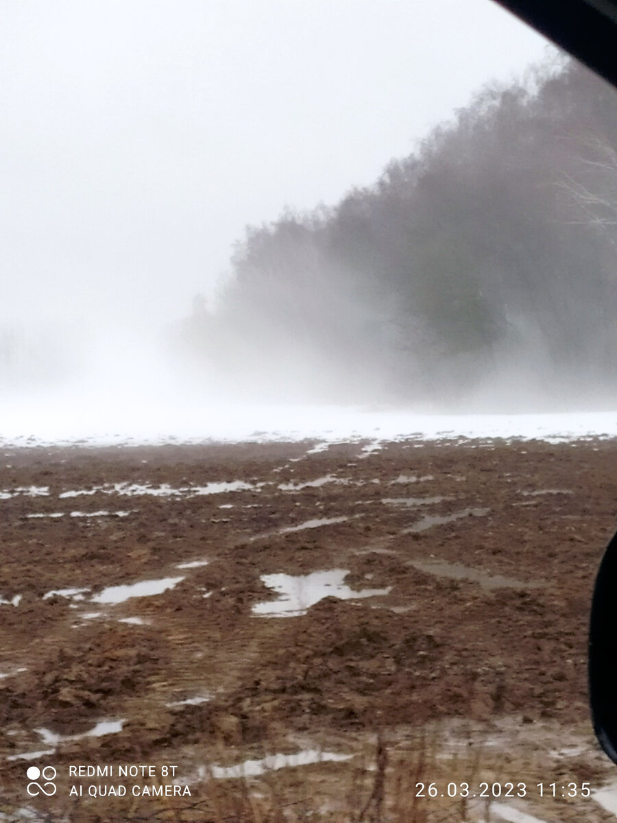 Настоящий, не генерированый туман. На поле, возле леса :) Фото автора.