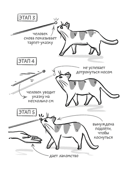 Cilikitty Тренажер для приучения кошек к унитазу - Интернет-магазин - Полезные товары оптом