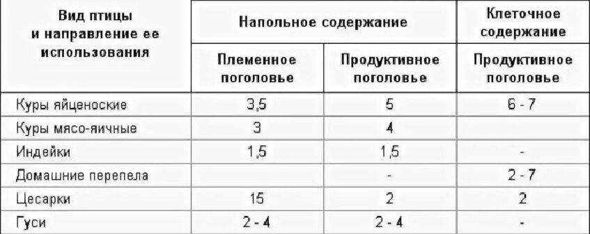 Содержание клетки. Норма посадки кур несушек при напольном содержании. Нормы посадки бройлеров при напольном содержании. Плотность посадки несушек при напольном содержании. Норма посадки кур на 1 м2 при напольном содержании.