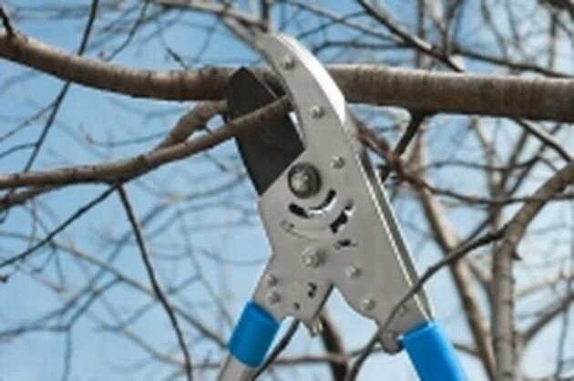 Апрель: календарь садовода и огородника