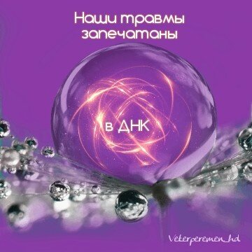 Программа заданная за 88 дней до вашего рождения