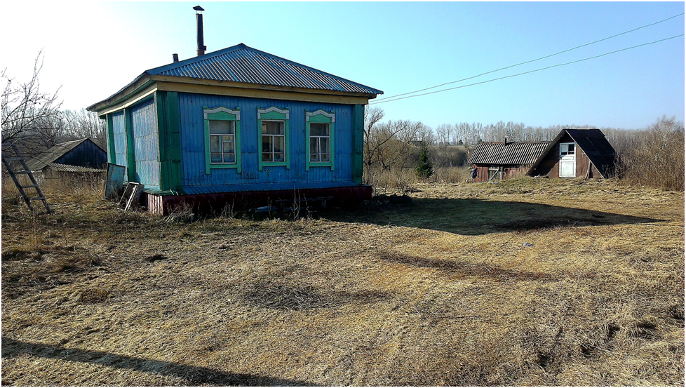 Погода пензенская область лопатинский