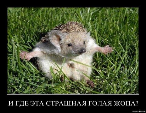 Картинка из открытых источников.