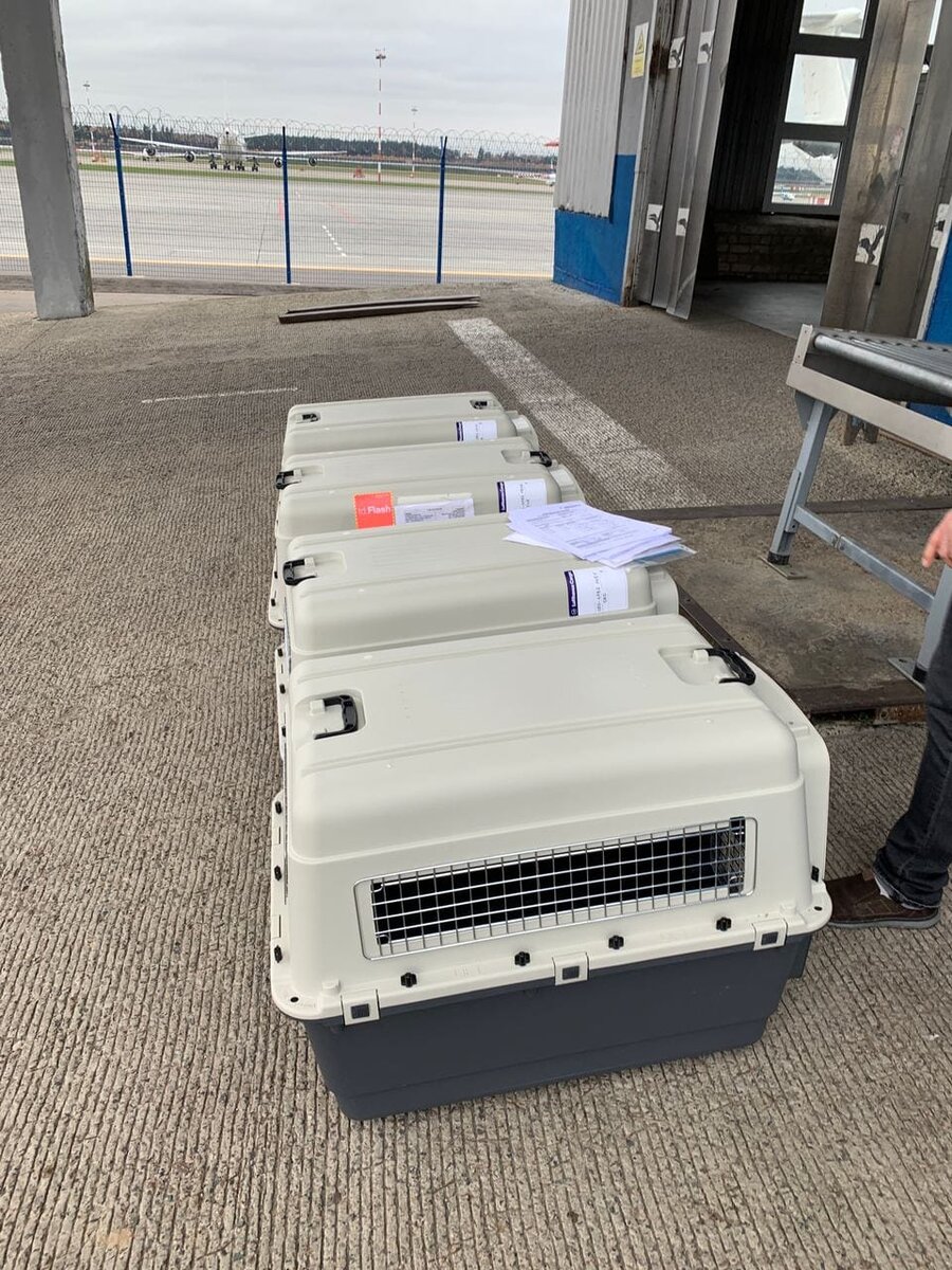 На отправке в аэропорту Минск-1