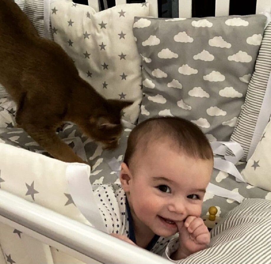    Анастасия Решетова не может устоять перед манипуляциями РатикаСоцсети Анастасии Решетовой