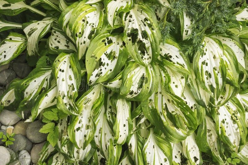 Взято из открытых источников