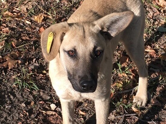 ФОТО: ВИКТОРИЯ ПОПОВА