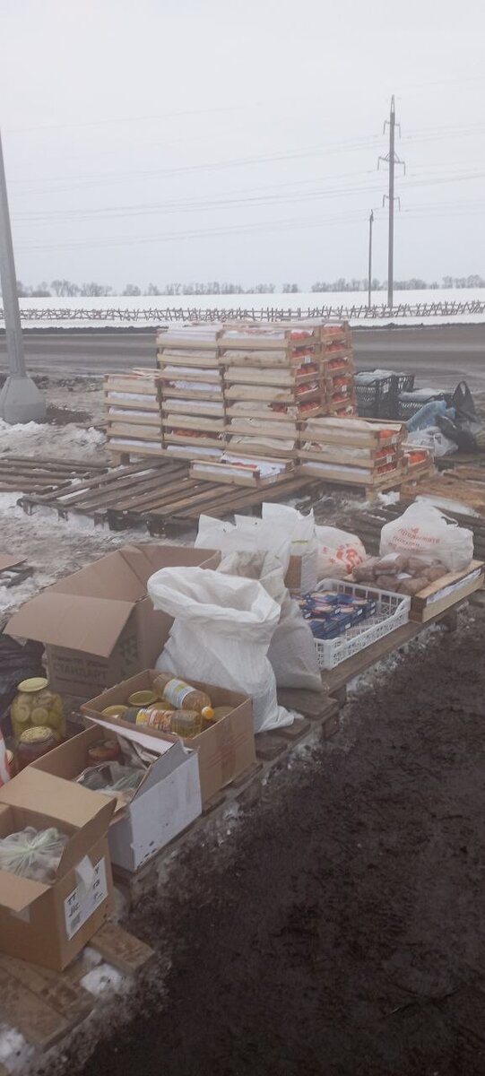 Вот это та самая хурма. Уже остатки. Фото из личного архива группы "Ребята, мы с вами!"