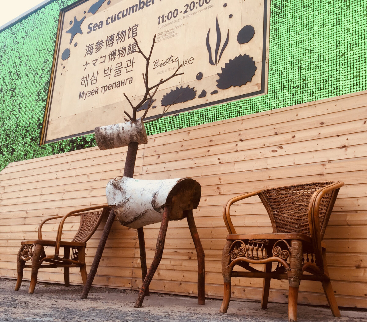 Seacucumber-museum.com