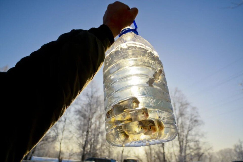     Это необходимо для сохранения и воспроизводства водных биологических ресурсов Олег УКЛАДОВ