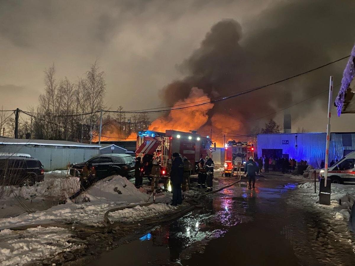 Фото: прислали читатели