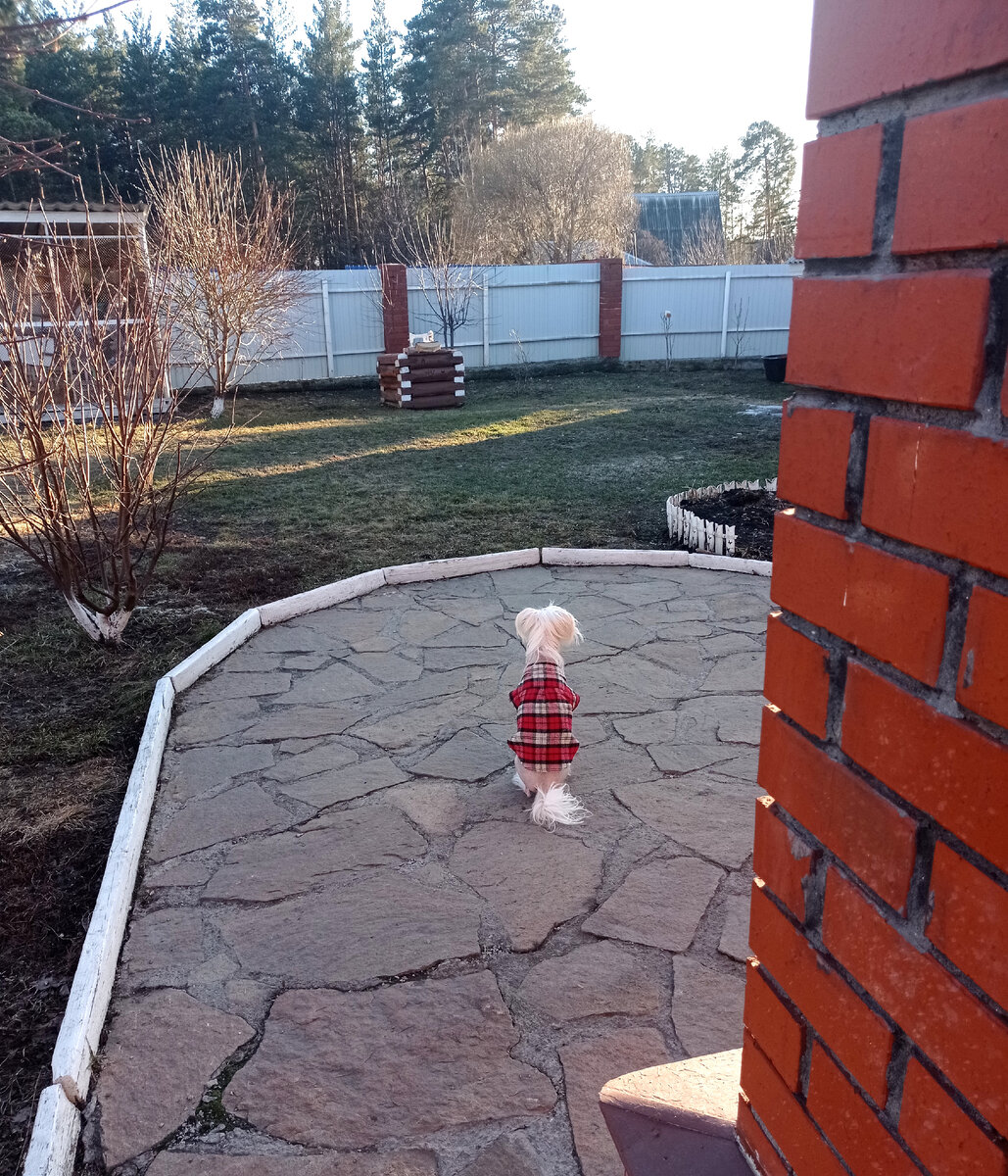 Март 2023 года вечером и наш Мартин